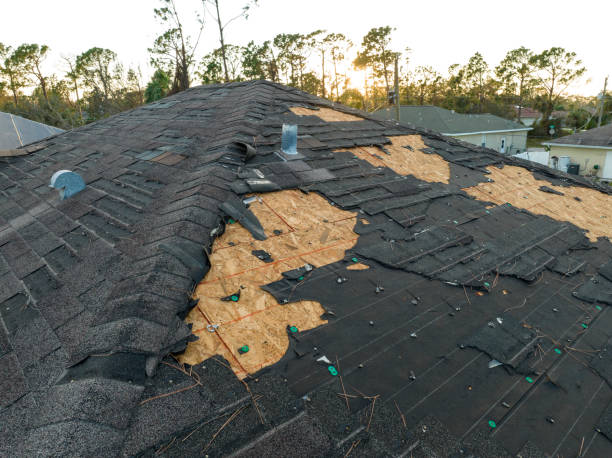 Best Storm Damage Roof Repair  in Mineola, TX